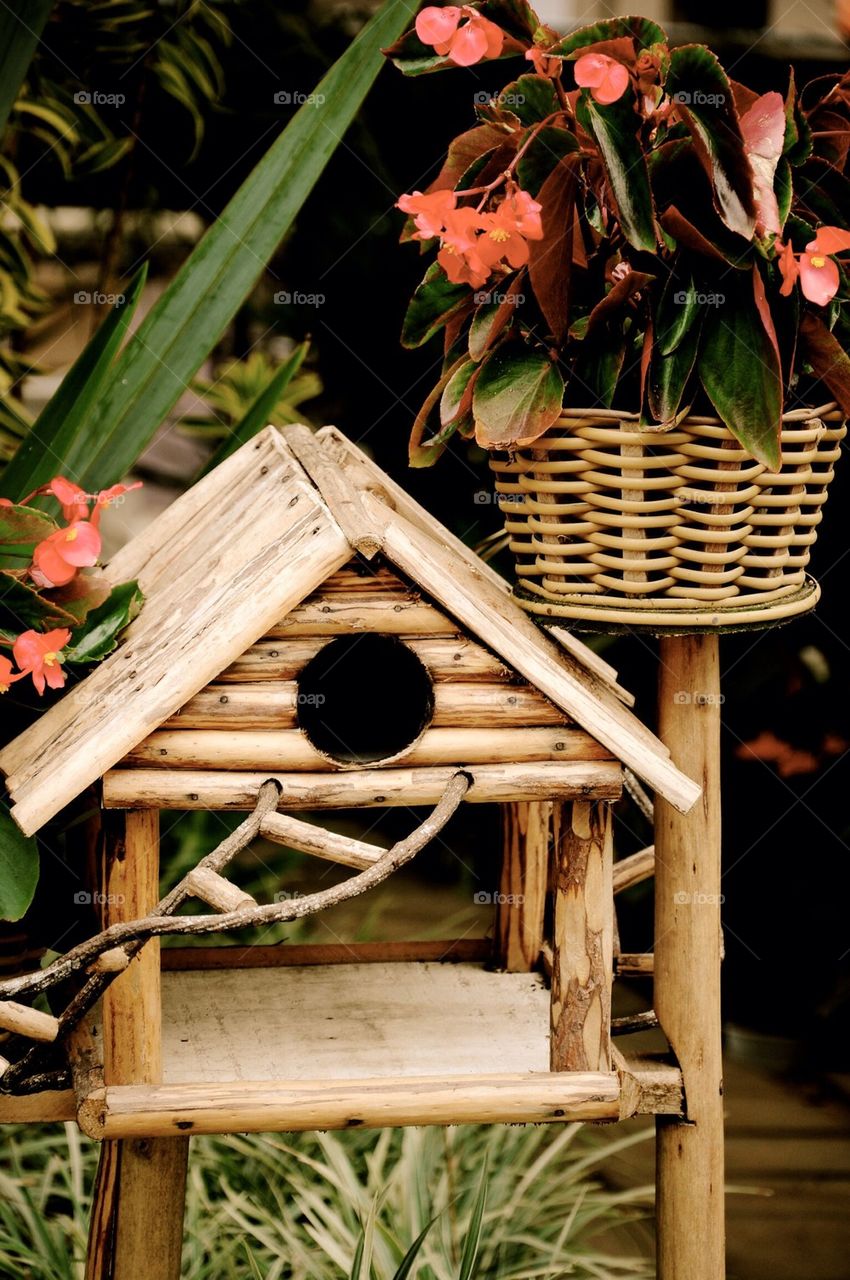 Pretty birds house in vintage style