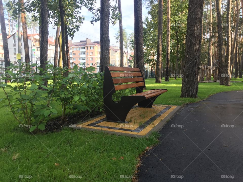 Bench in the park