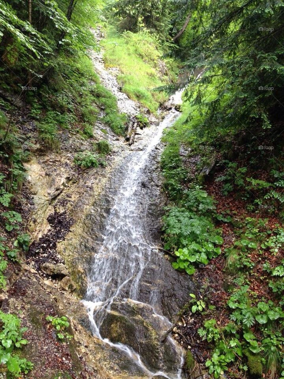 Bavarian Creek