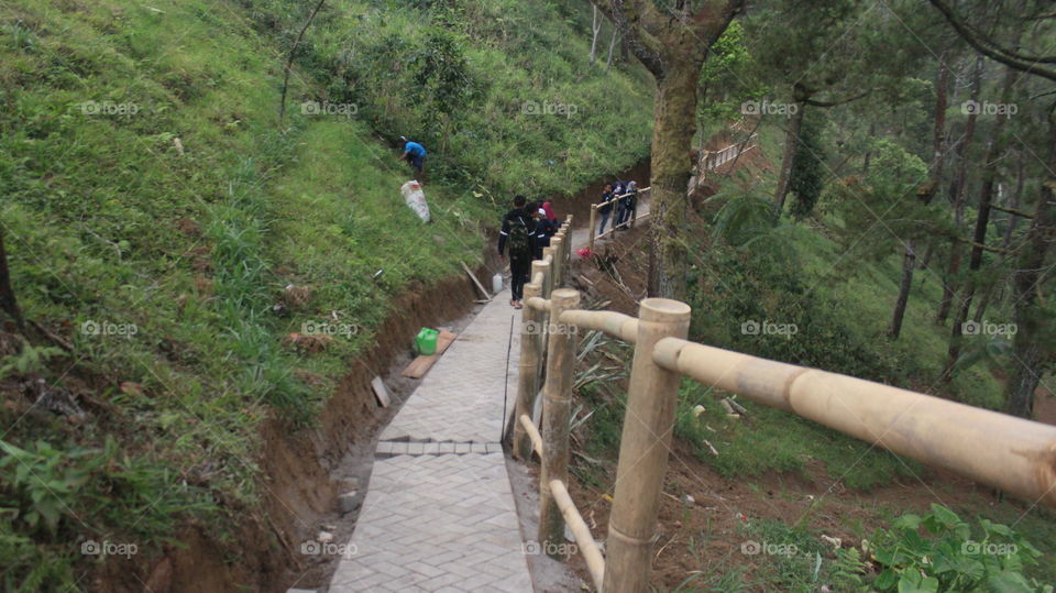 Foap Com Image Bromo Forest Stock Photo By Ahmatfauzi