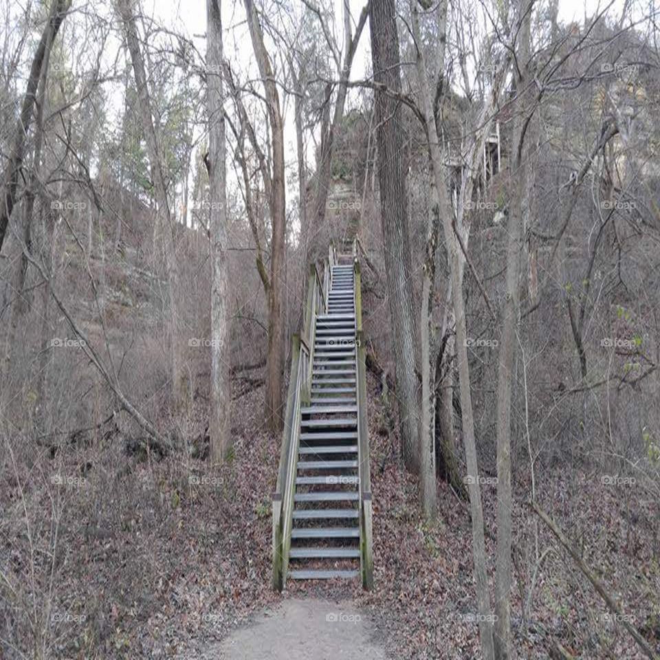 stairway to starved rock