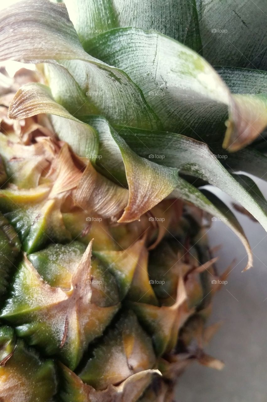 Textures of a Pineapple