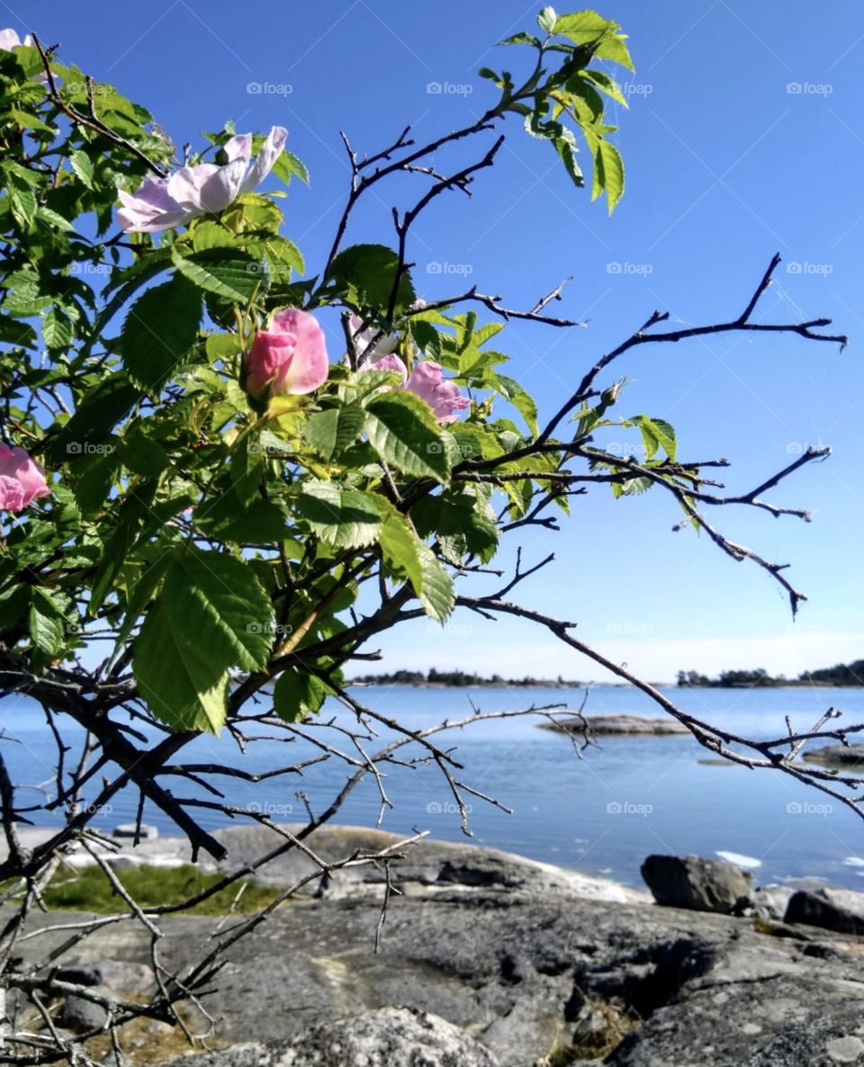 Someties you just have to calm your mind in that one favorite place of yours!