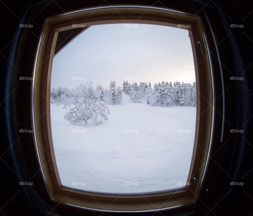 Window to the winter