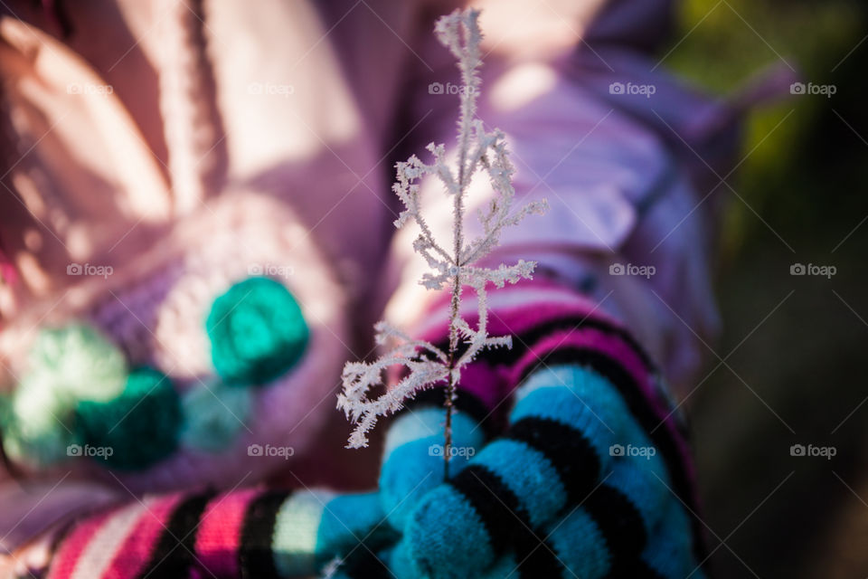 Frozen twig in girls hand