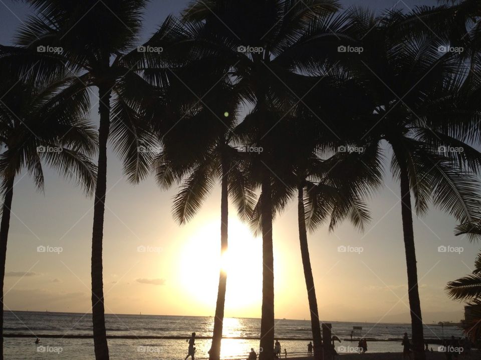 Hawaiian Sunset