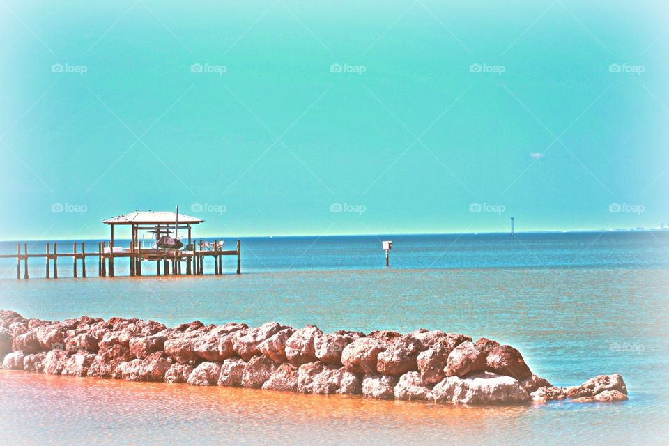 Florida water landscape