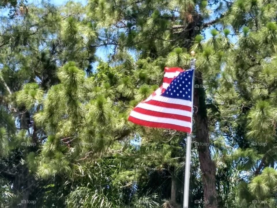 American Flag