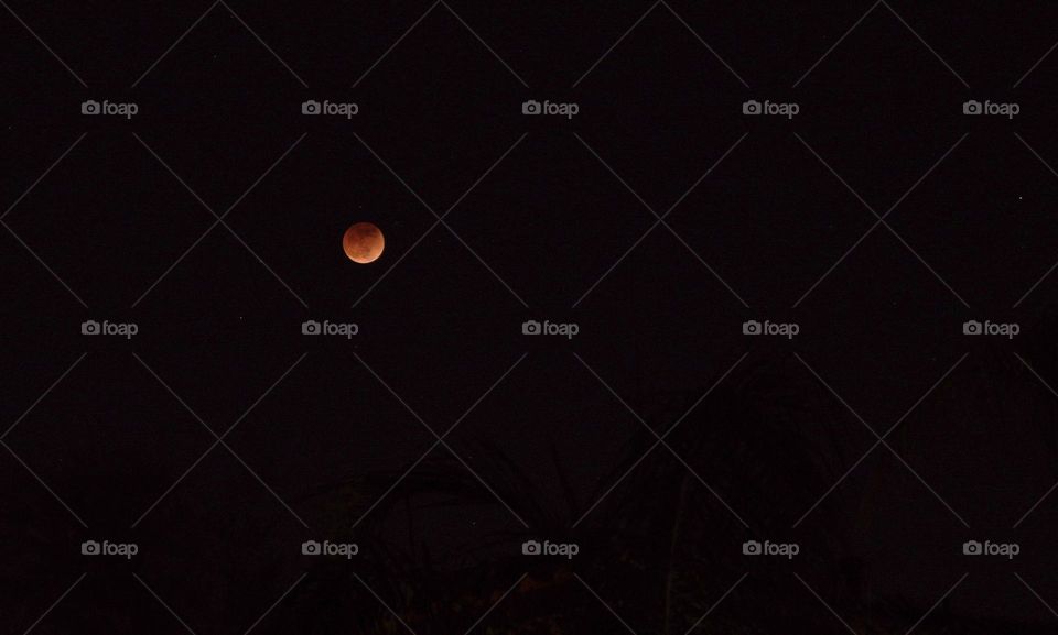 Super Flower Blood Moon in May. Images from May 15 2022 Total Lunar Eclipse, Southern California. 