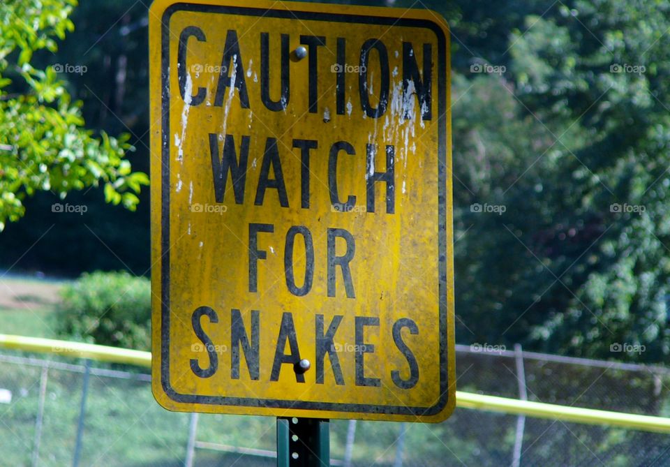s
caution watch for snakes
