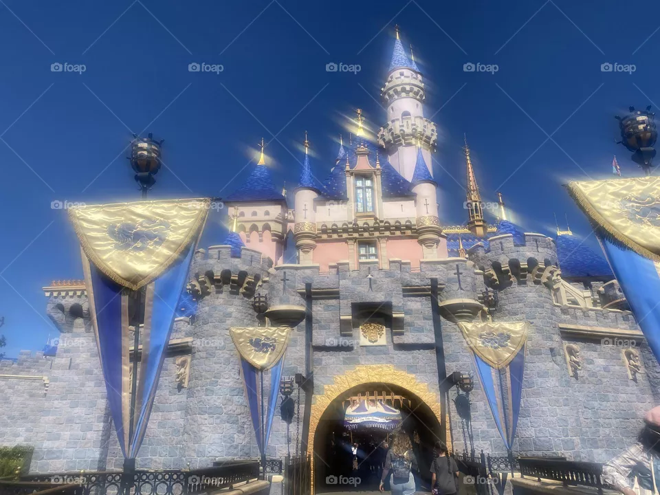Disney castle 🥰