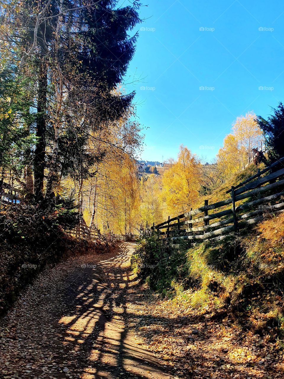 The path to relaxation