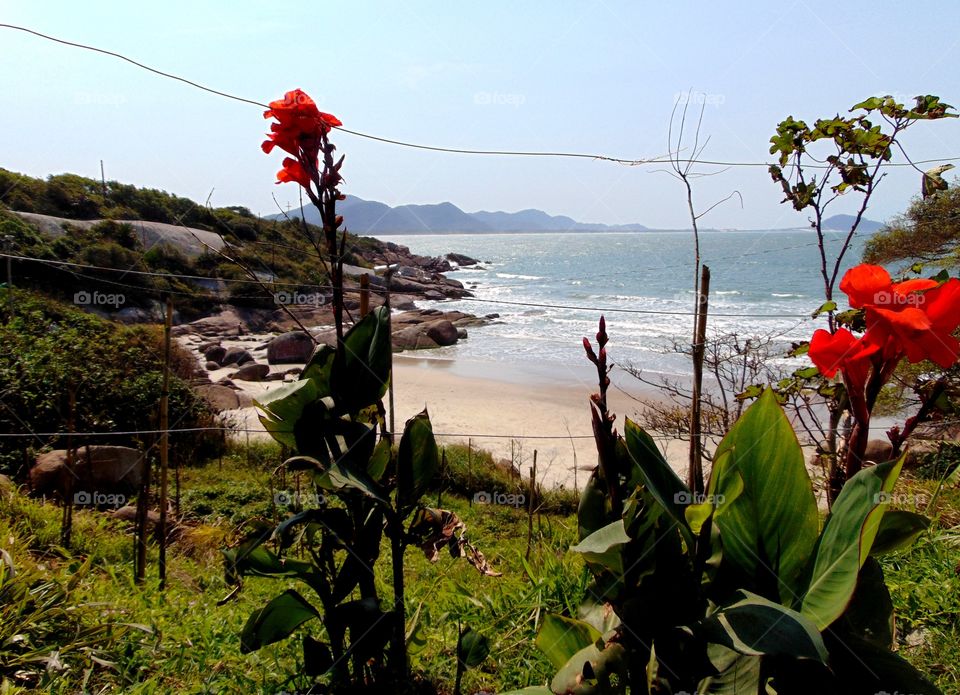 Barra da Lagoa, Florianópolis, Santa Catarina, Brasil