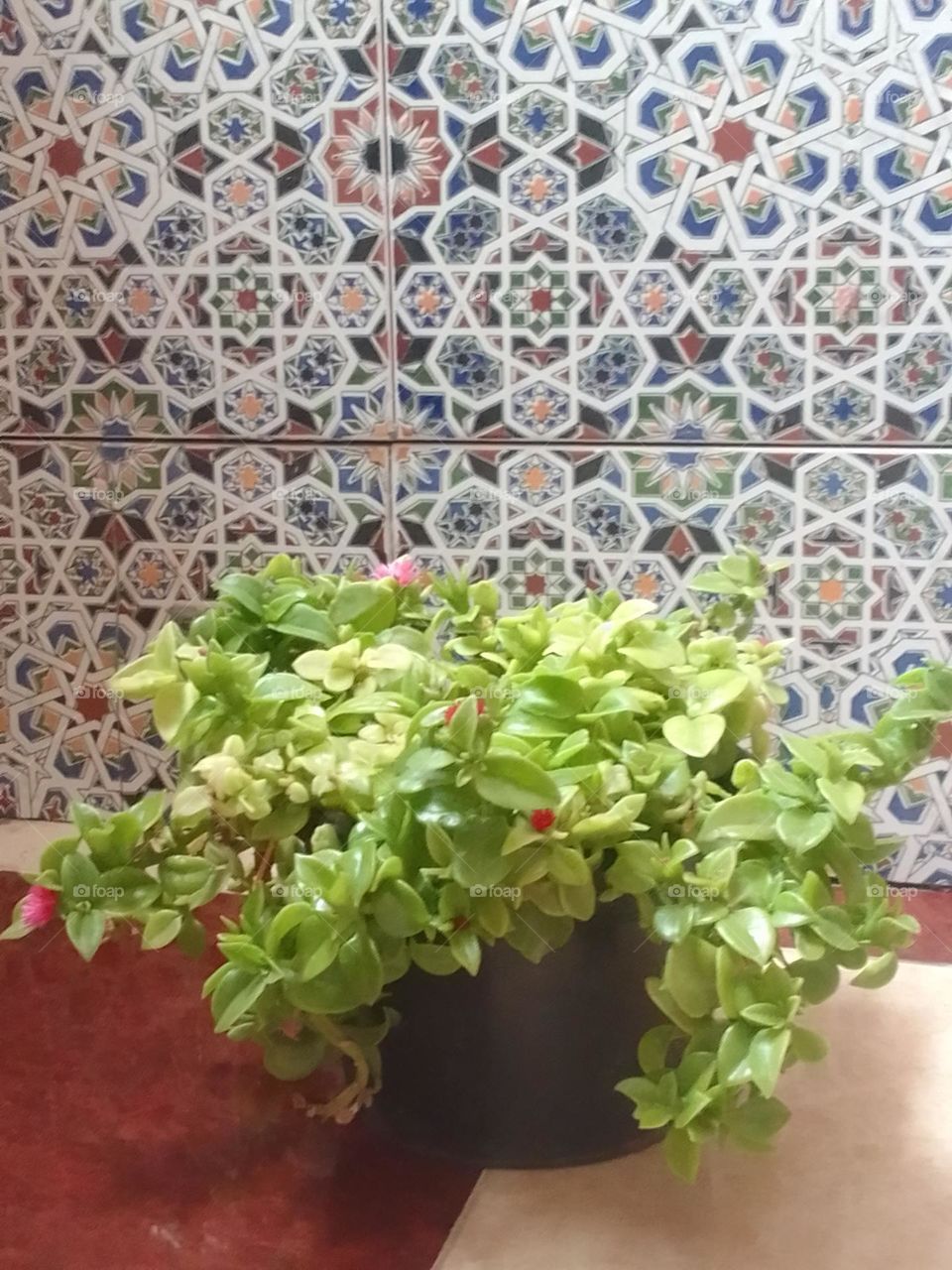 ๐๐๐น๐น๐ฅ๐ฅ๐ท๐ท๐บ๐บ๐ธ๐บ๐ธ๐ธ๐ต๏ธ๐ต๏ธ๐ป๐ป๐ผ๐ผ๐ฎ๐ฎ๐ฎ๐๐๐๐๐๐พ๐พ๐ฑ๐ฑ๐ฟ๐ฟ๐๐โ๏ธโ๏ธ๐๐๐ชด๐ชด๐ต๐ต๐ด๐ด๐ด๐ณ๐ณ๐ณ๐ฒ๐ฒ๐๏ธ๐๏ธ๐๏ธ๐ชต๐ชต๐ชจ๐๐โ๏ธโ๏ธ๐๏ธ๐ฌ๏ธ๐ฌ๏ธโ๏ธ๐จ๏ธ๐จ๏ธโ๏ธ๐ฆ๏ธ๐ฆ๏ธ๐ฆ๏ธ๐ฆ๏ธ๐ฅ๏ธโ๏ธโ๏ธโ๏ธ๐ค๏ธ๐ค๏ธ๐ค๏ธ๐ฉ๏ธโจโจโจ๐ซ๐ซ๐ซ๐๐๐โญ๐๐โกโ๏ธ๐๐๐๐๐ฟ๐ฟ๐ฟ๐ฑ๐ฑ๐ฎ๐ฎ๐ฎ๐๐๐๐ชด๐ชด๐ต๐ต๐ด๐ด๐ด๐ฒ