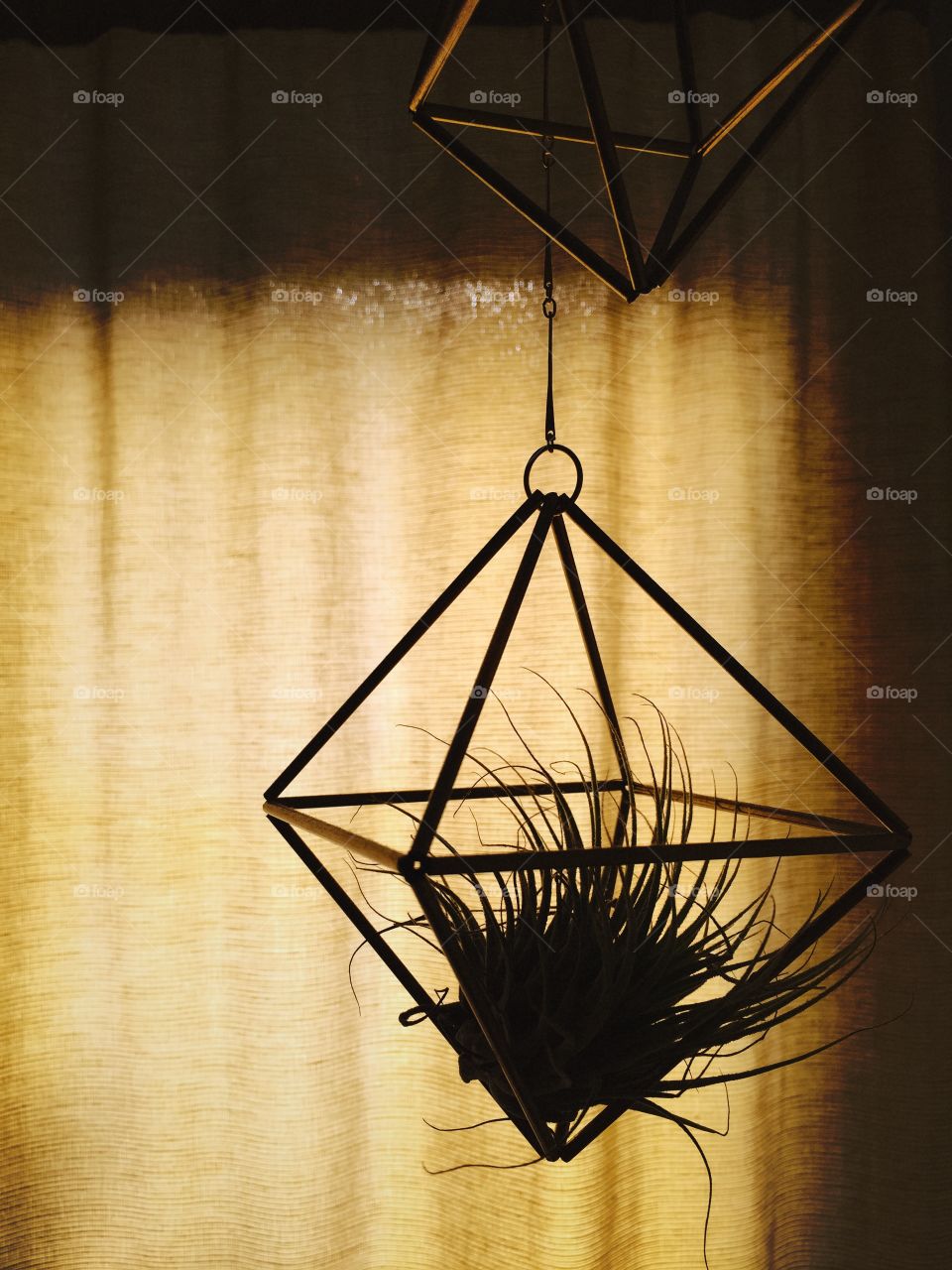 A silhouetted diamond- shaped hanging planter.