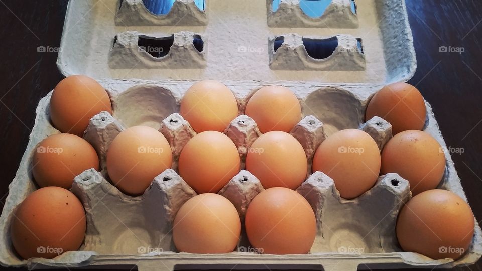 Fresh eggs