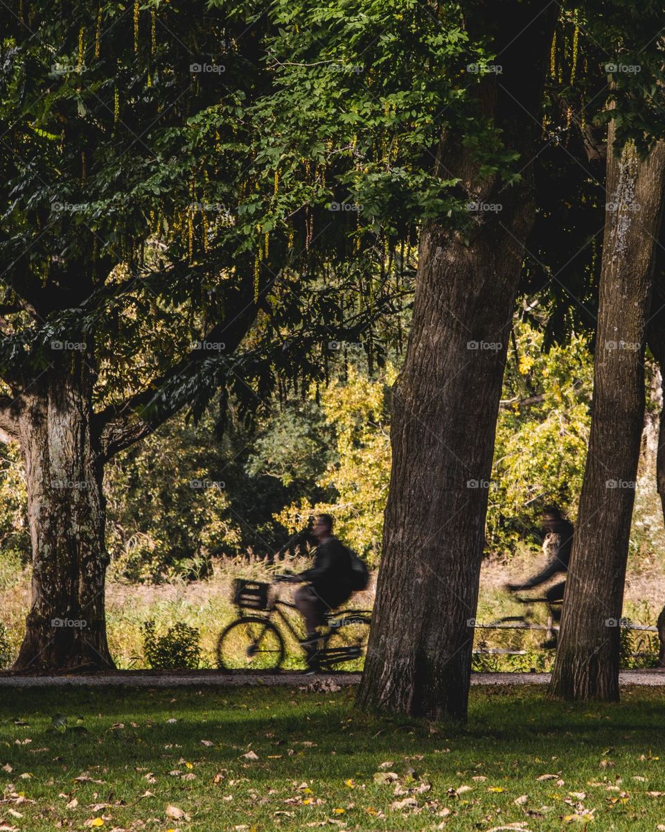 Cyclist in the paceful morning 