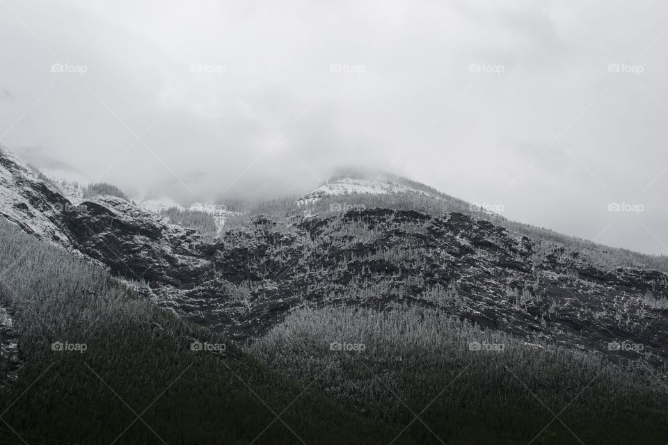 Rocky Mountains winter greys, fresh snow in grey mountains with grey foggy sky