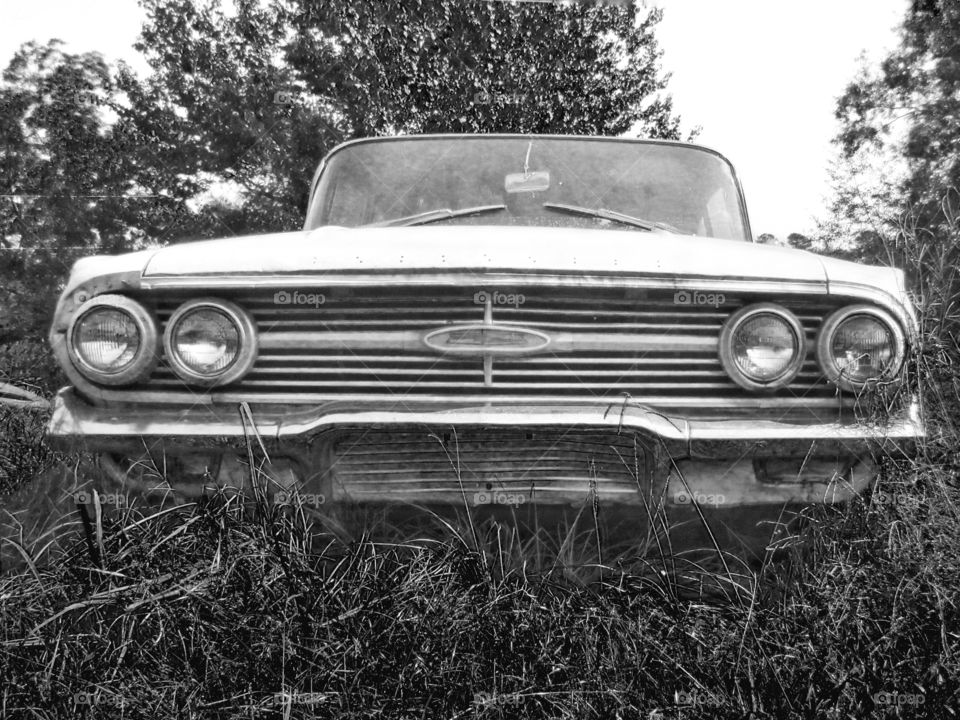 monochrome vintage car in tall grass