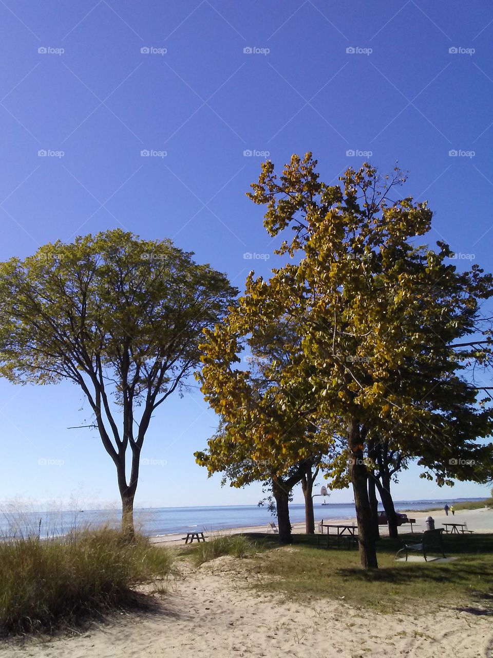 The trees are starting to change color by Neshotah Beach in Two Rivers, Wisconsin.  Lake Michigan in the background.