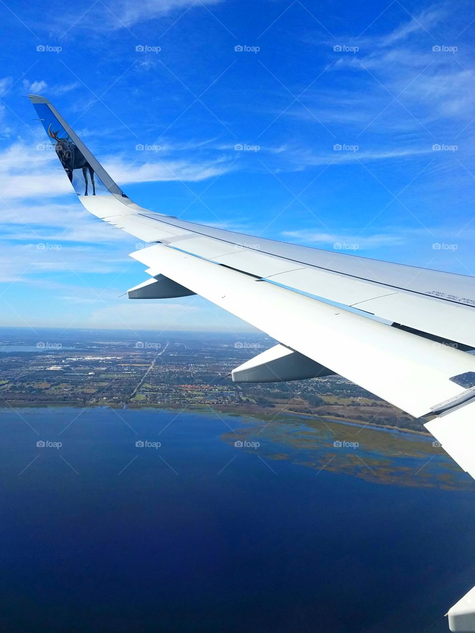 Flat Florida from 35,000 feet