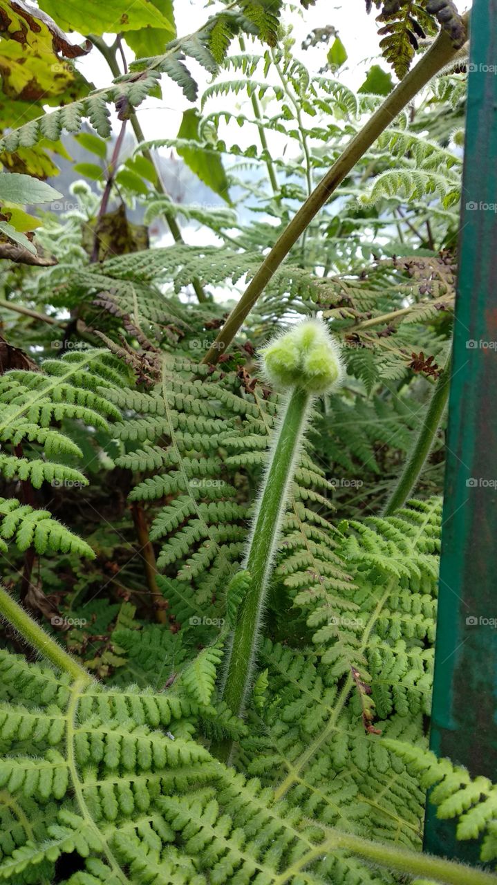 I'm not snakieee....