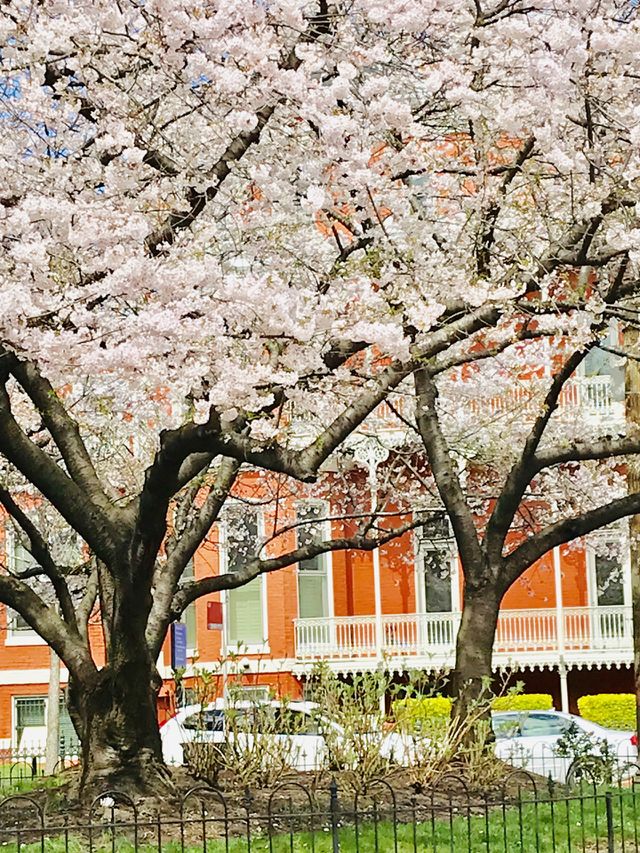 Welcome spring 