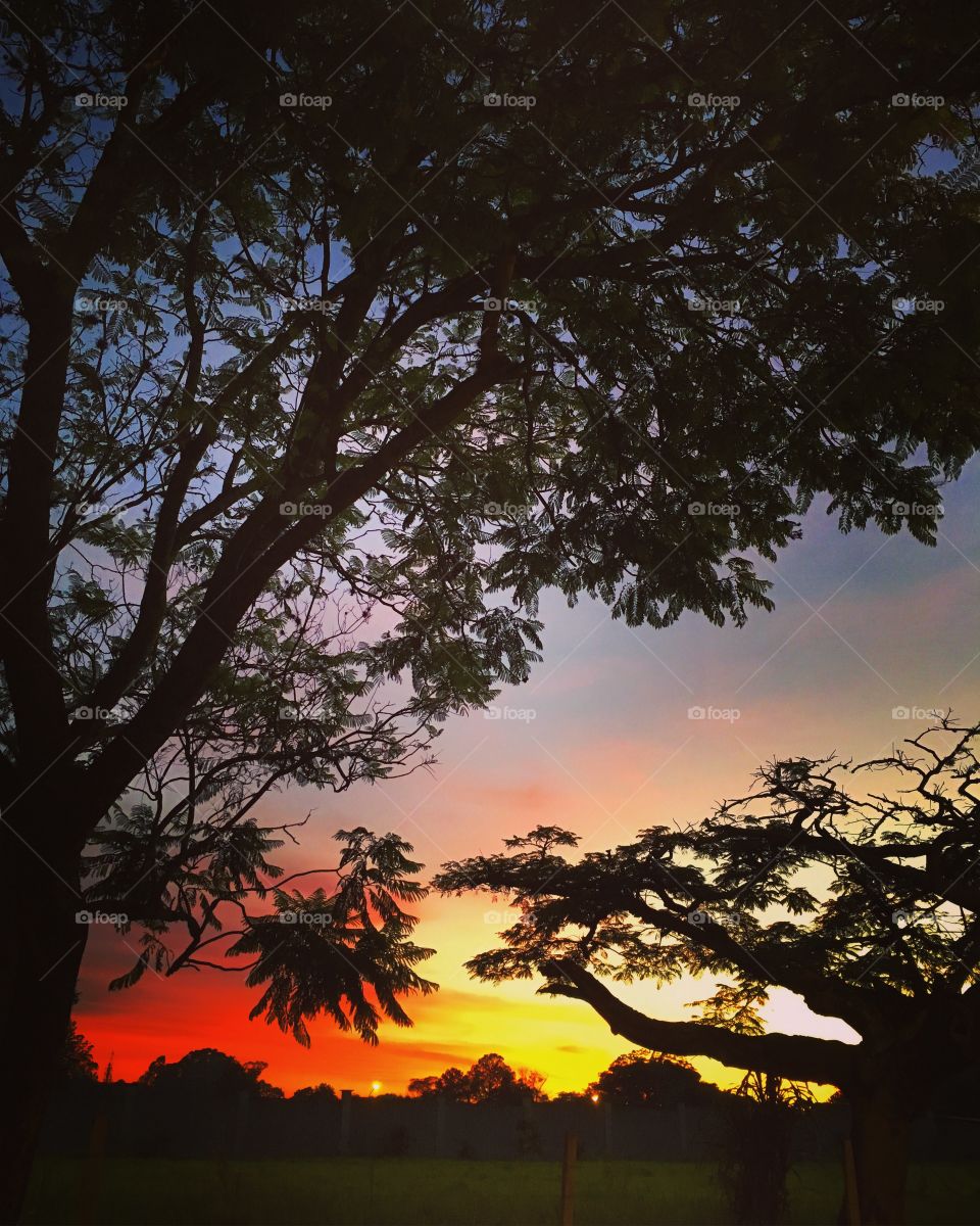 FOAP MISSIONS - The record of dawn in Brazil, with these beautiful colors of nature from my iPhone SE. Thank you, Foap, for this mission! / O registro do amanhecer no Brasil, com essas belas cores da natureza a partir do meu iPhone SE.