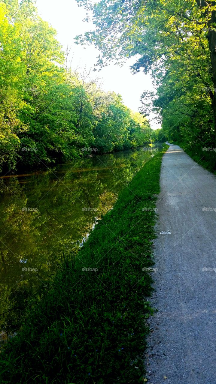 green reflection