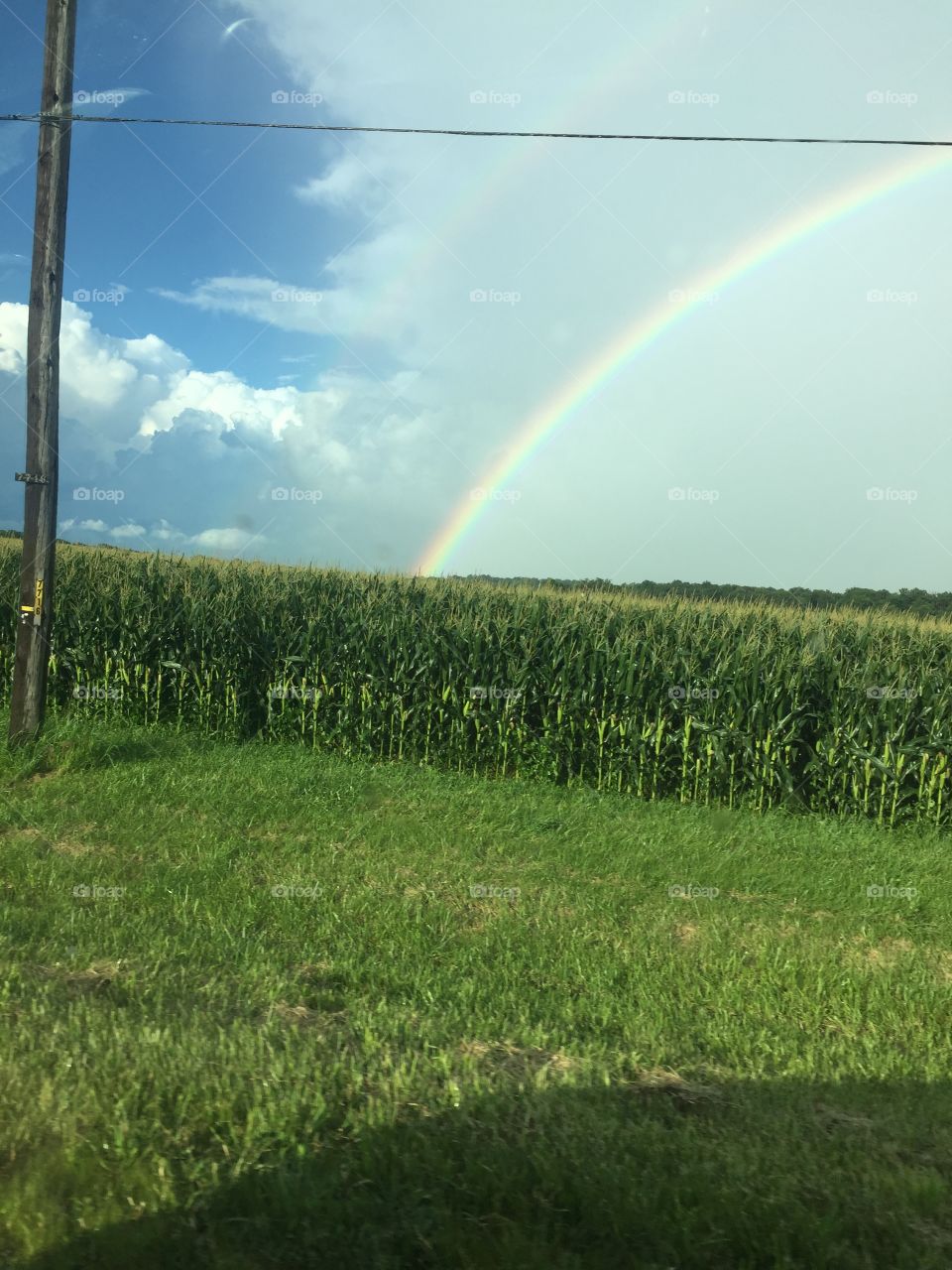 Field rainbow 
