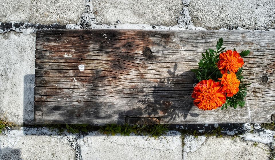 Wall, Old, Desktop, Texture, Dirty