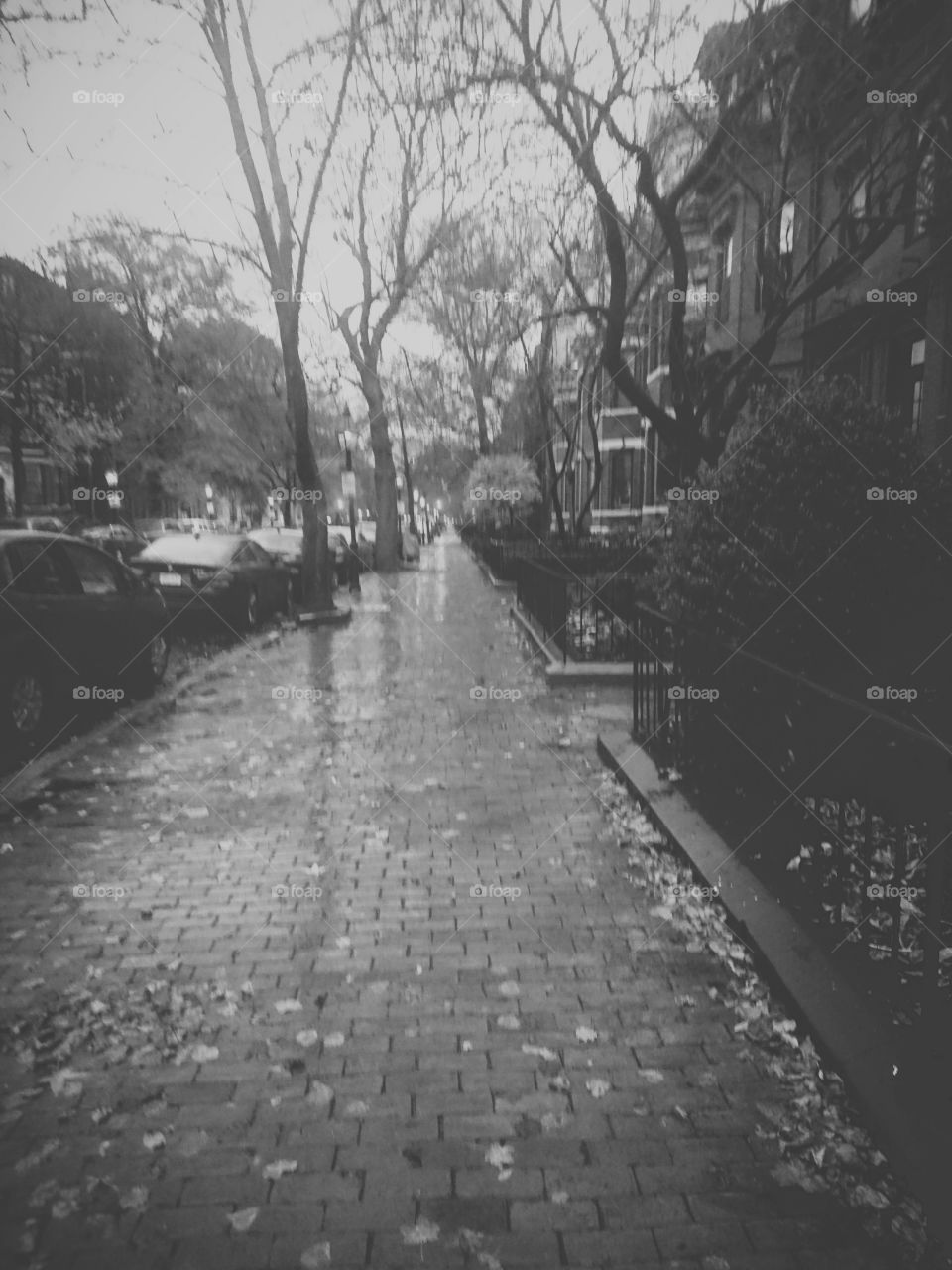 Boston back bay street on rainy day