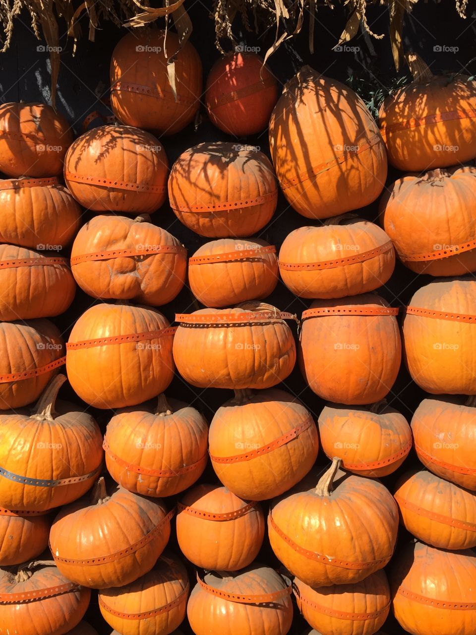 Pumpkin wall