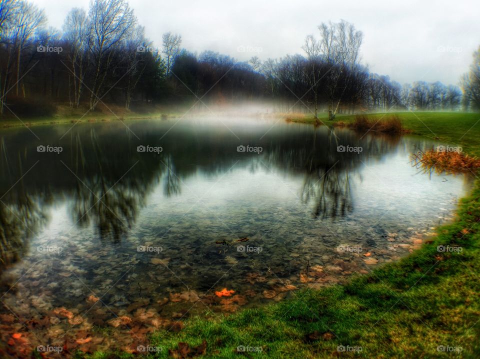 Fog on the Lake