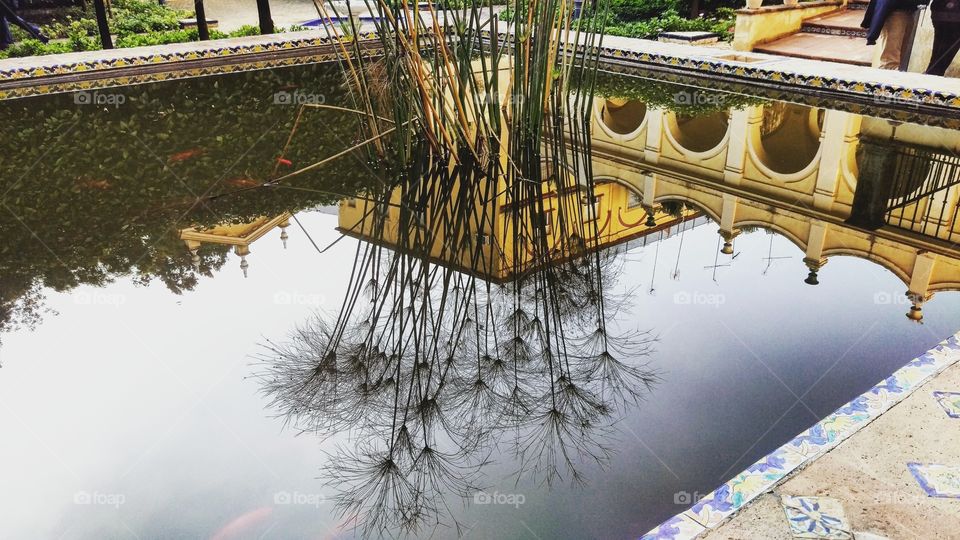 Reflection pool