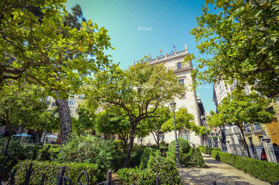 Gardens of the audiencia, Spain