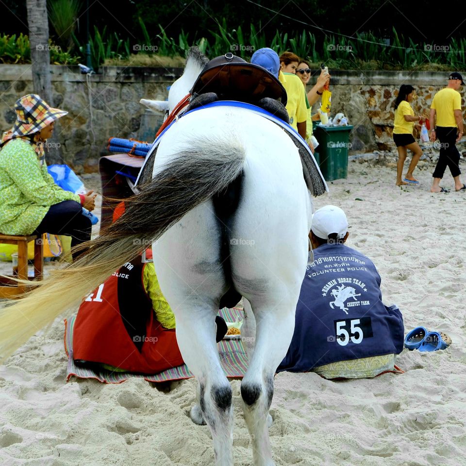 Haha.. Nice booty.!
Nice booty horse in Hua-Hin beach. Its natural beach in Hua-Hin District, Approximately 20 kilometers long.