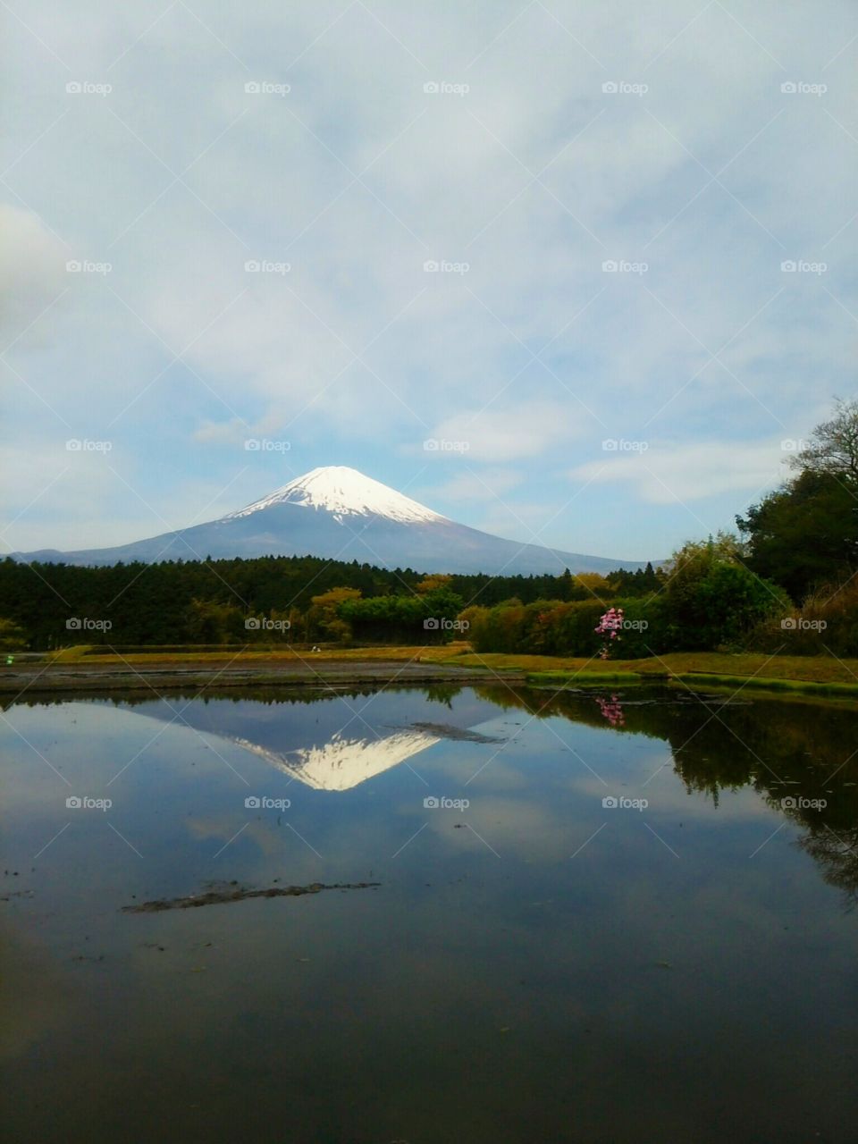 mirroring Mt.Fuji