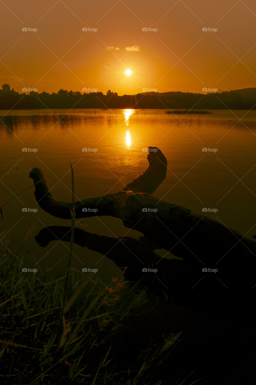 Natural Sunset Silhouettes at lake