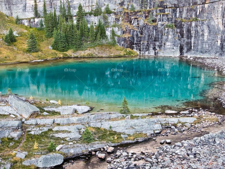 The beauty of nature