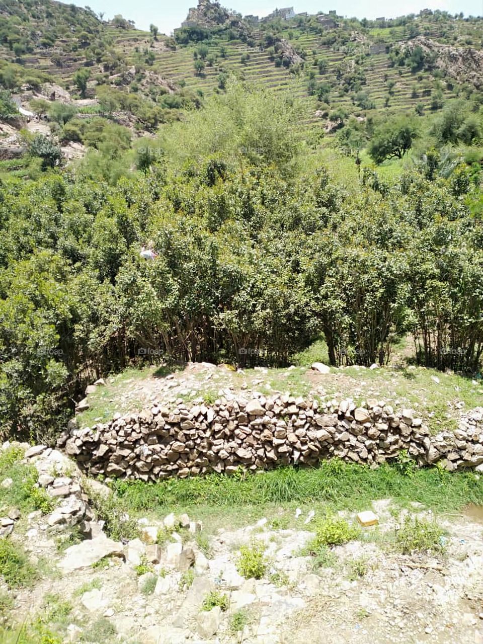 Glory be to God, the magnificent and picturesque view and the natural green trees are a view that is nothing more wonderful than it