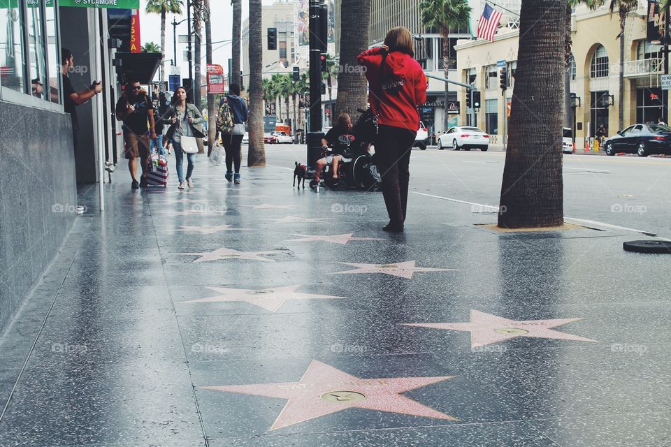 Hollywood Walk Of Fame Located In Hollywood, California