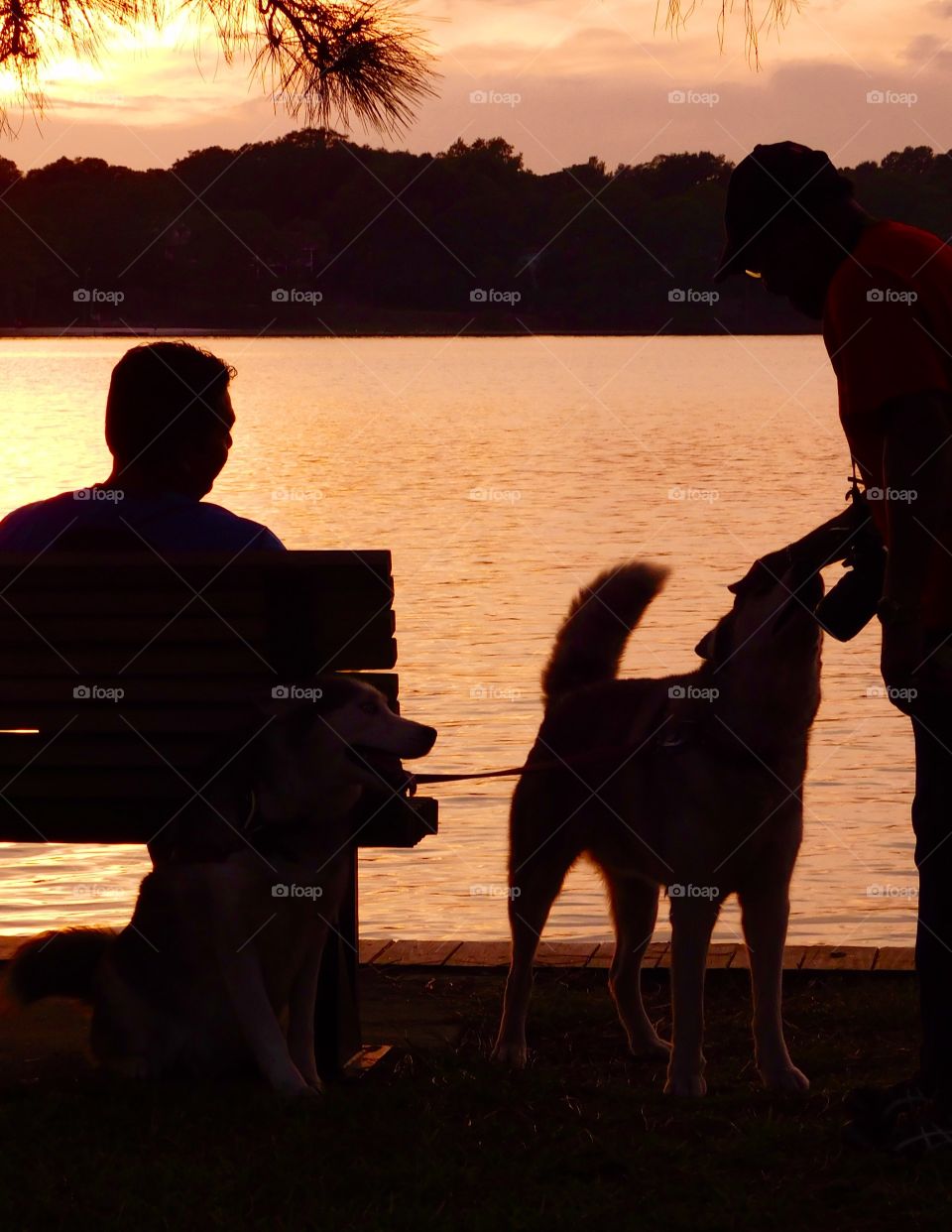 Amazing silhouette of a man and his best friend 