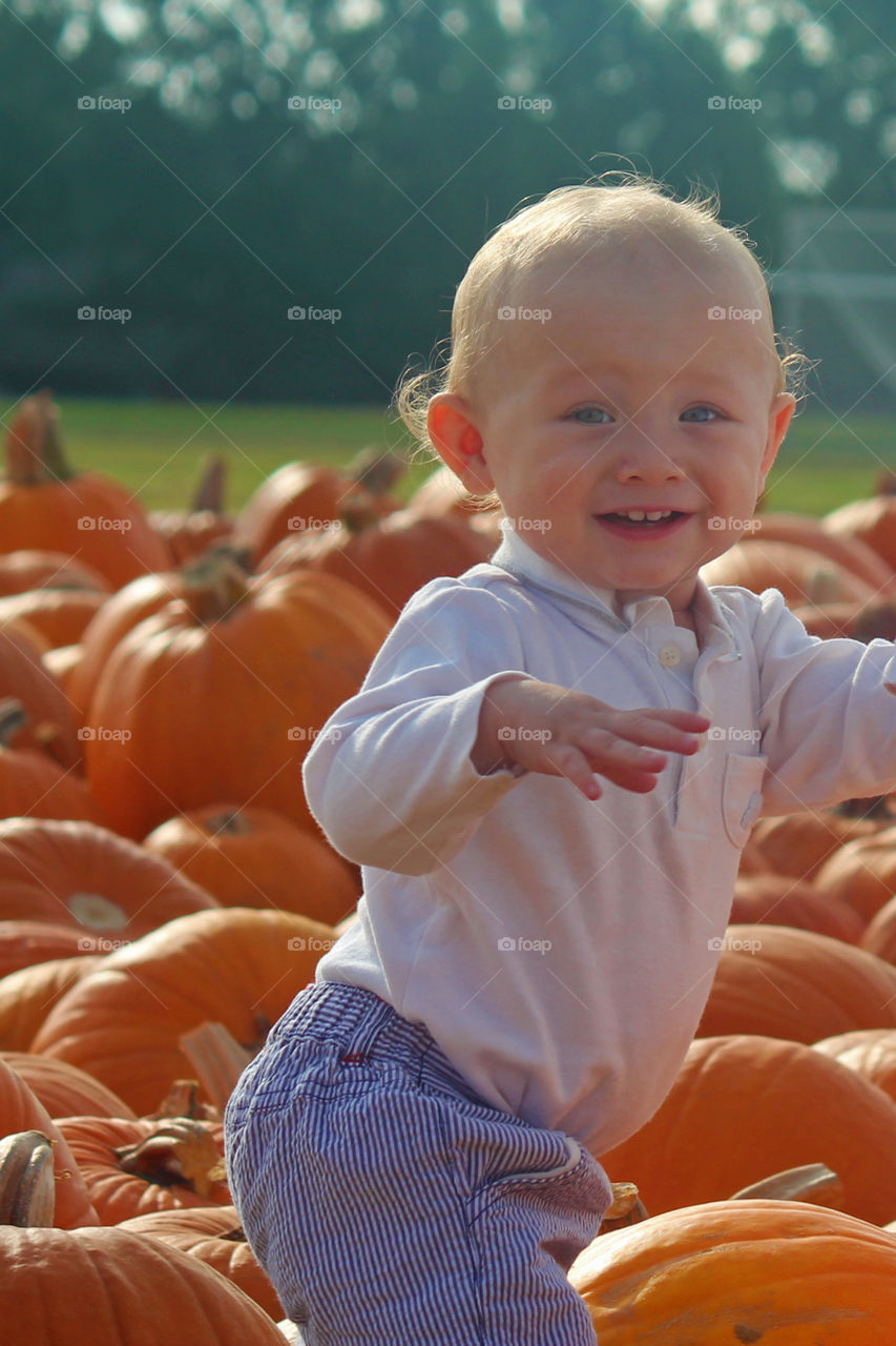 Toddler boy standing in pumpkin patch