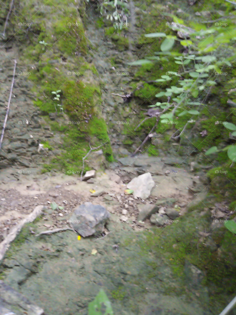 the nature of the field