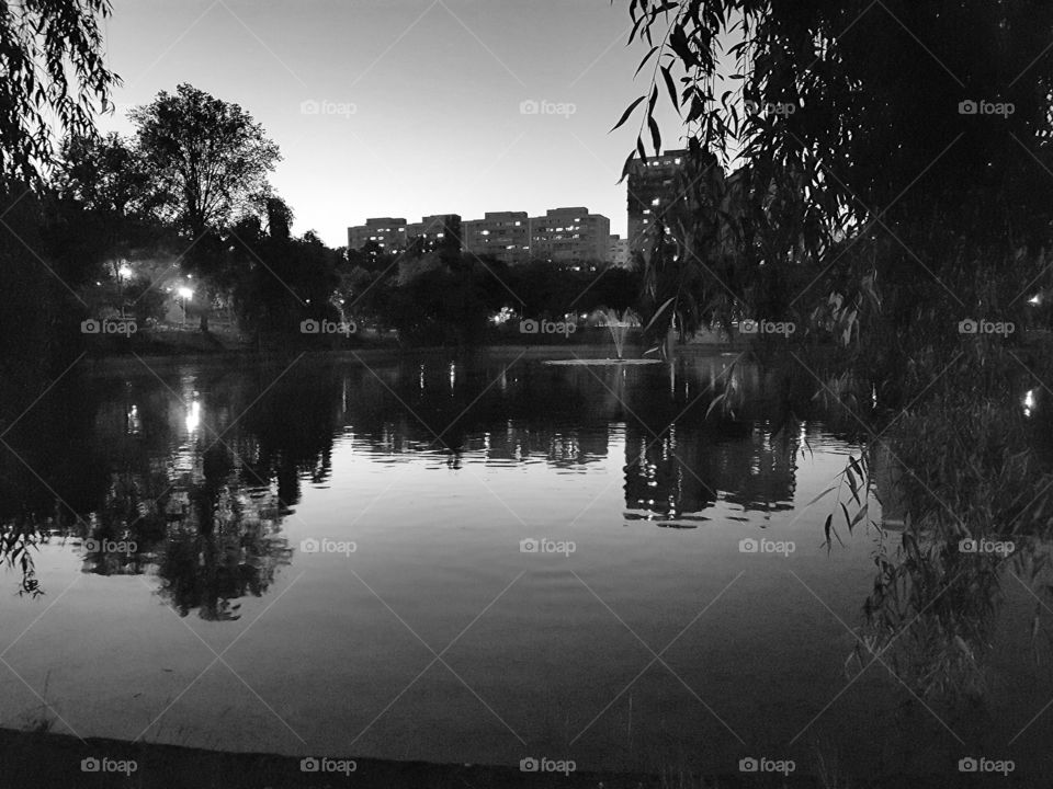 Late evening in the Park