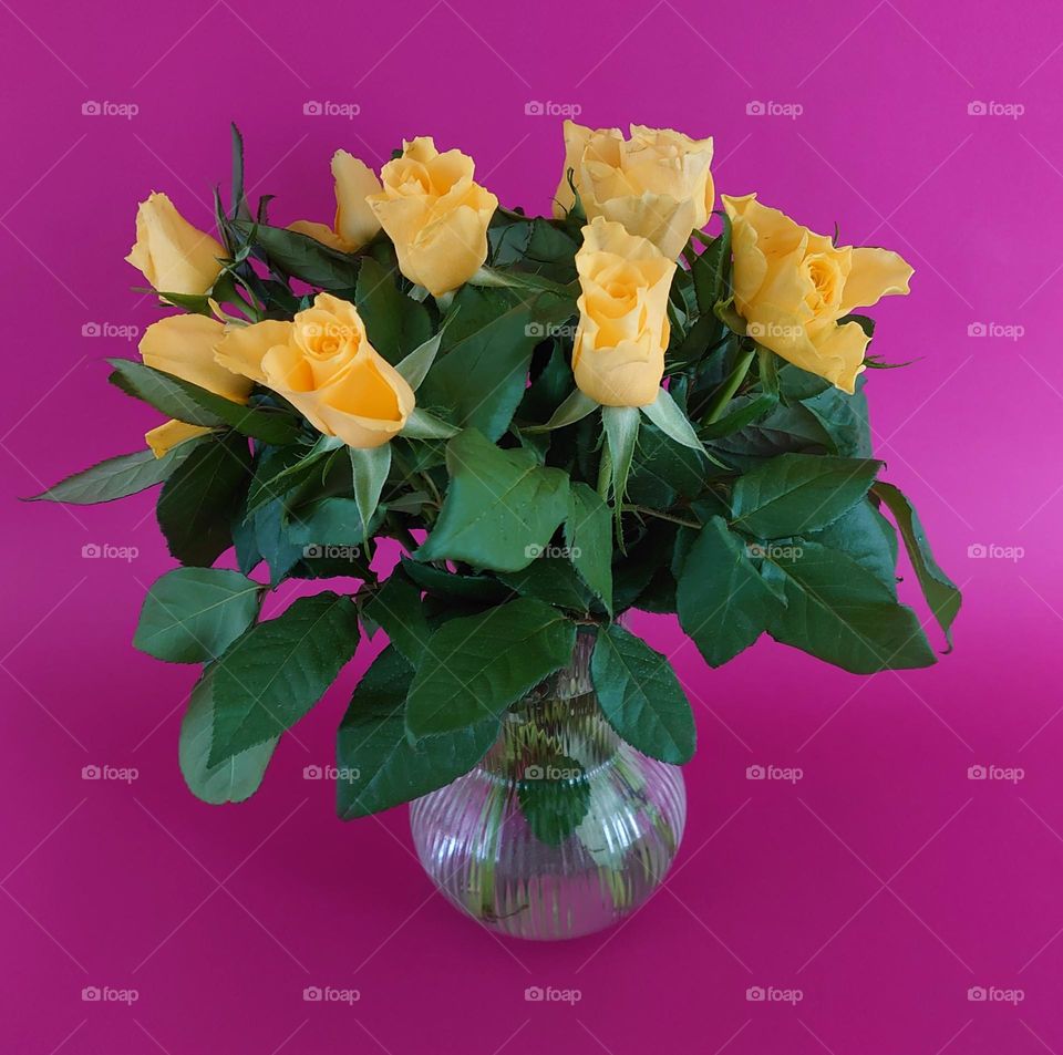 Yellow Roses 💛 Bouquet 💛 Flowers in the vase 💛