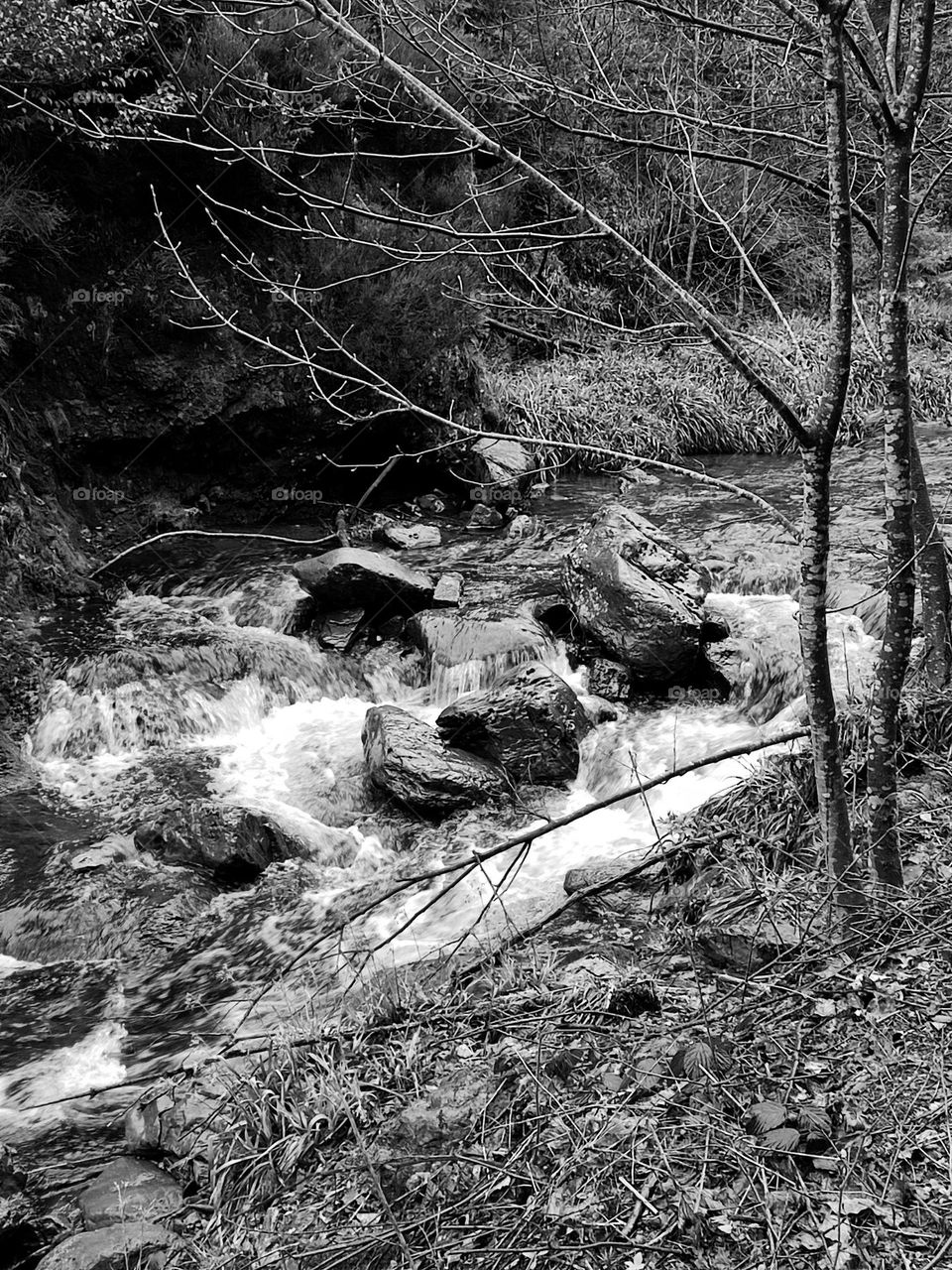 Walk in the woods, Bayehon waterfall
