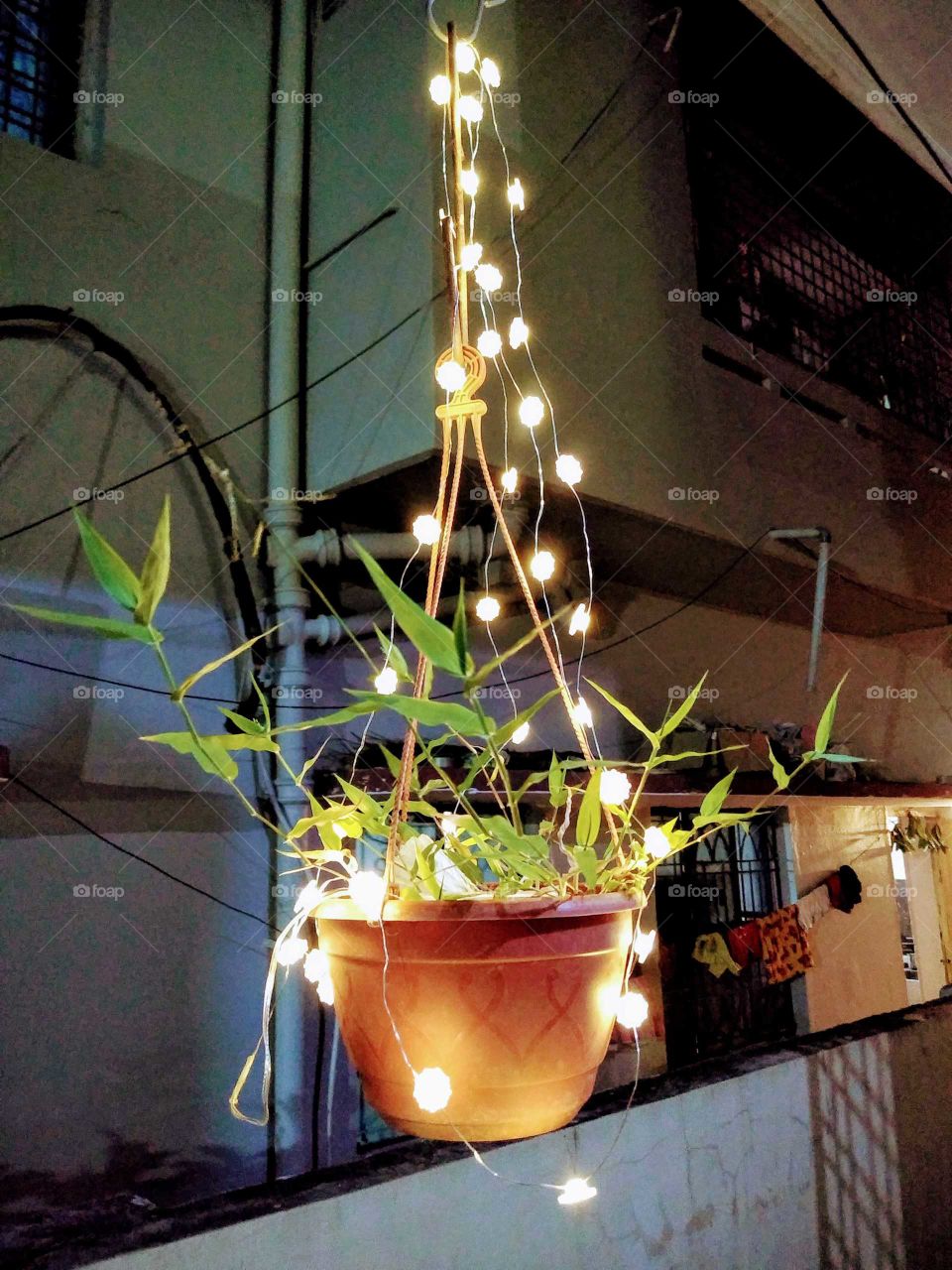 lighting on the hanging pot