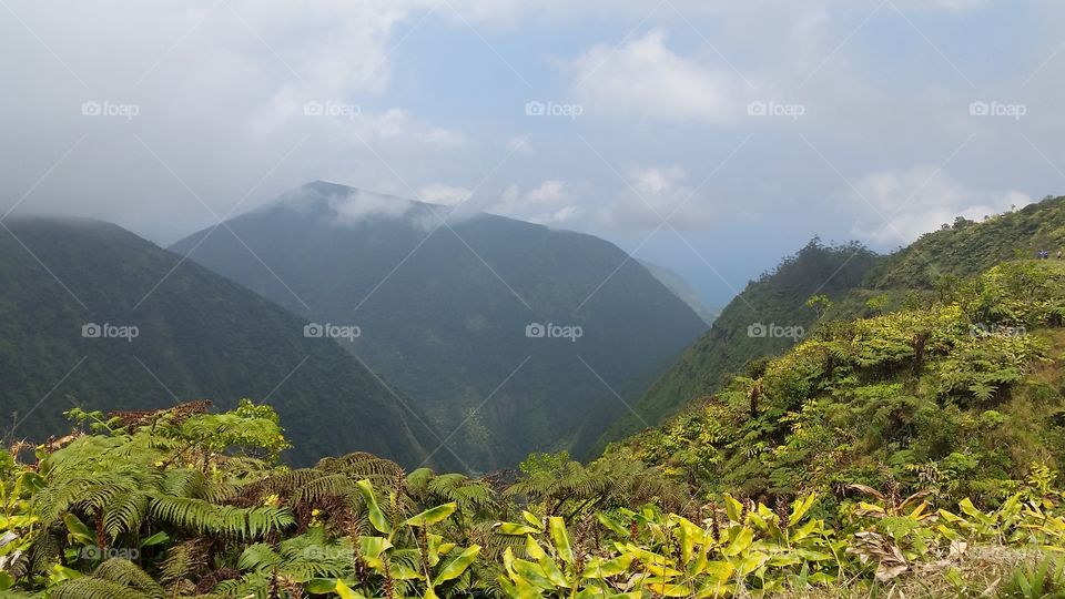 waipio valley to the sea